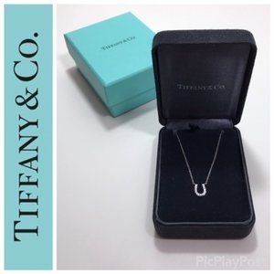 TIFFANY 18K White Gold Diamond Horseshoe Necklace
